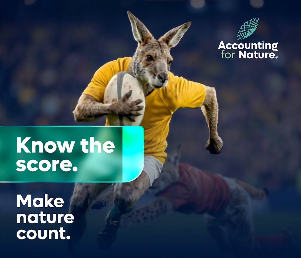AFN Campaign - Email Header - Rugby LR-1