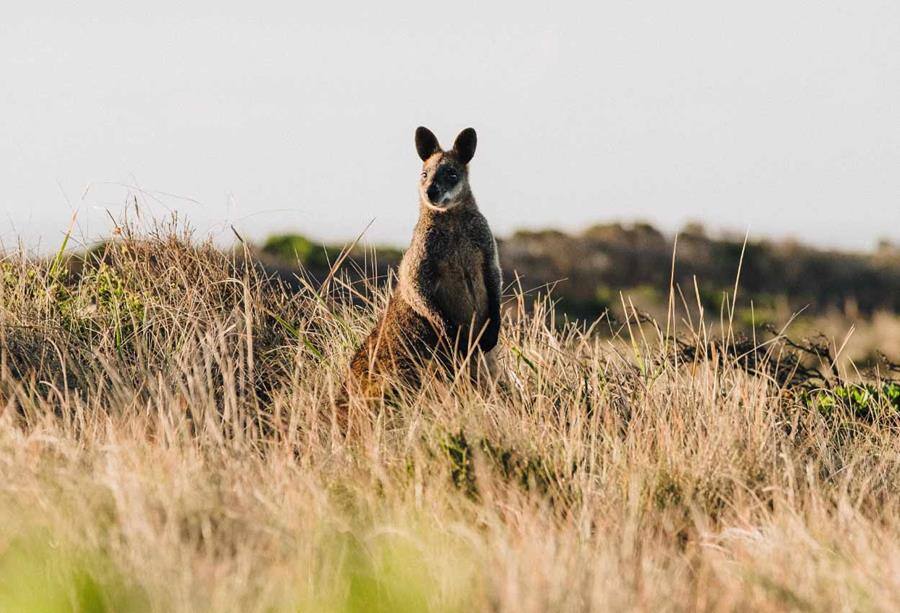 AFN-FeatureImage02-9900000000079e3c