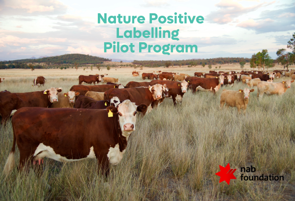 NAB Foundation Grant_Email (600 x 409 px)-1